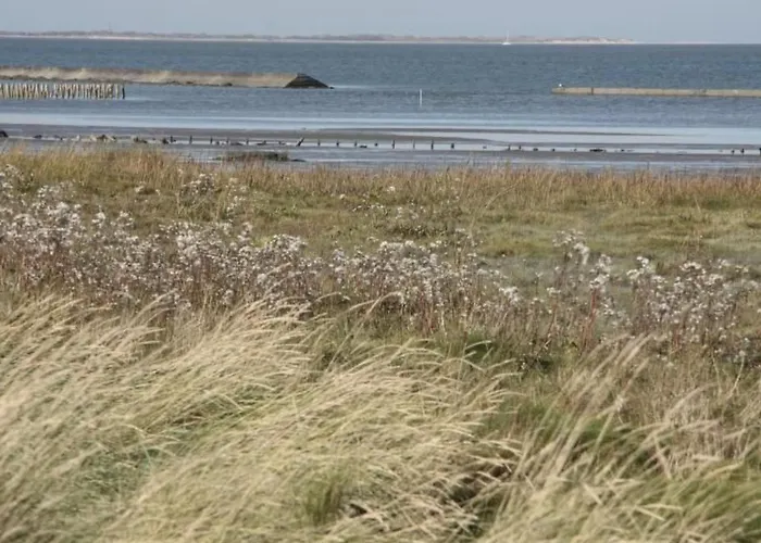 Lammert By Interhome Dornumersiel